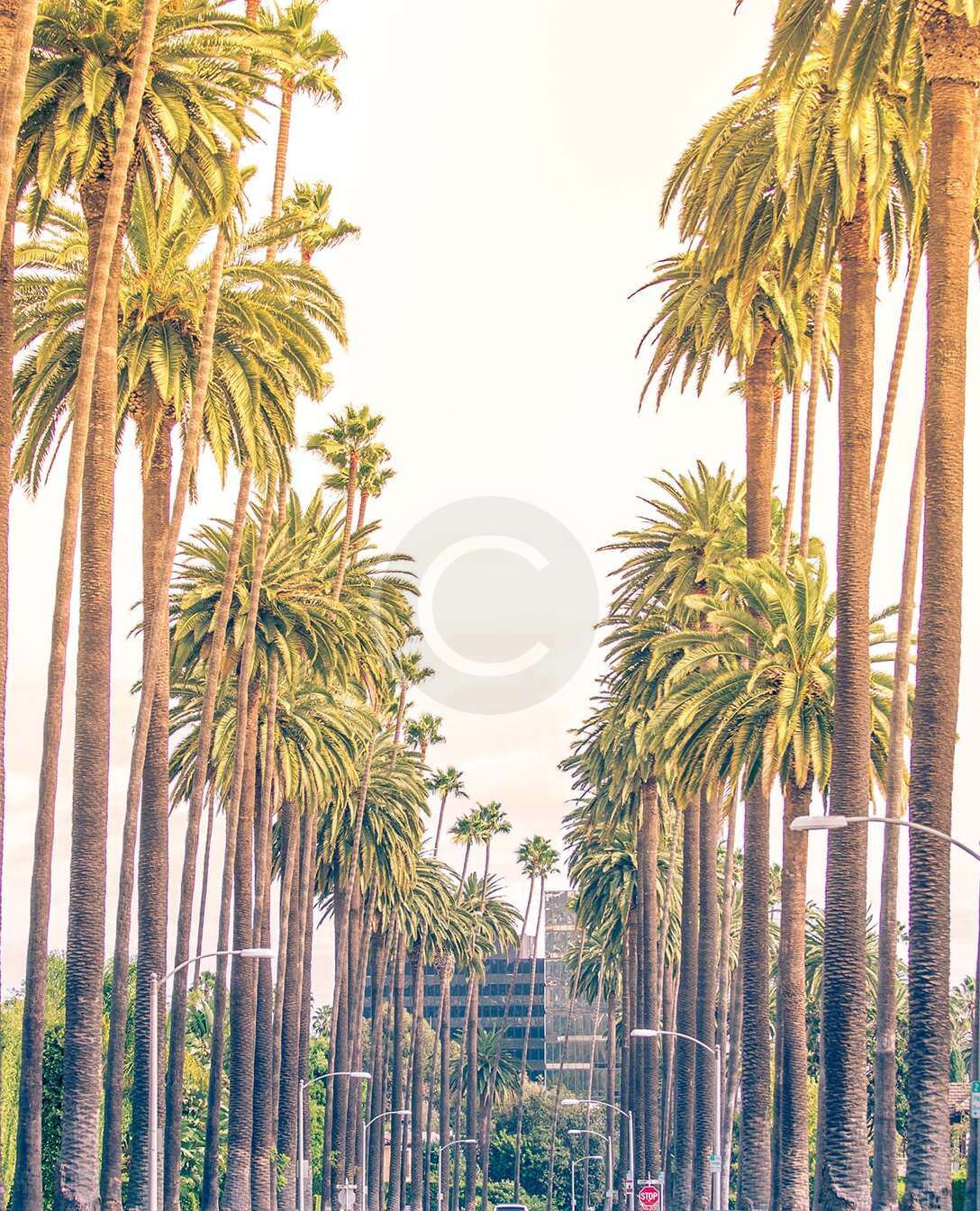 Durdle Door & Bournemouth